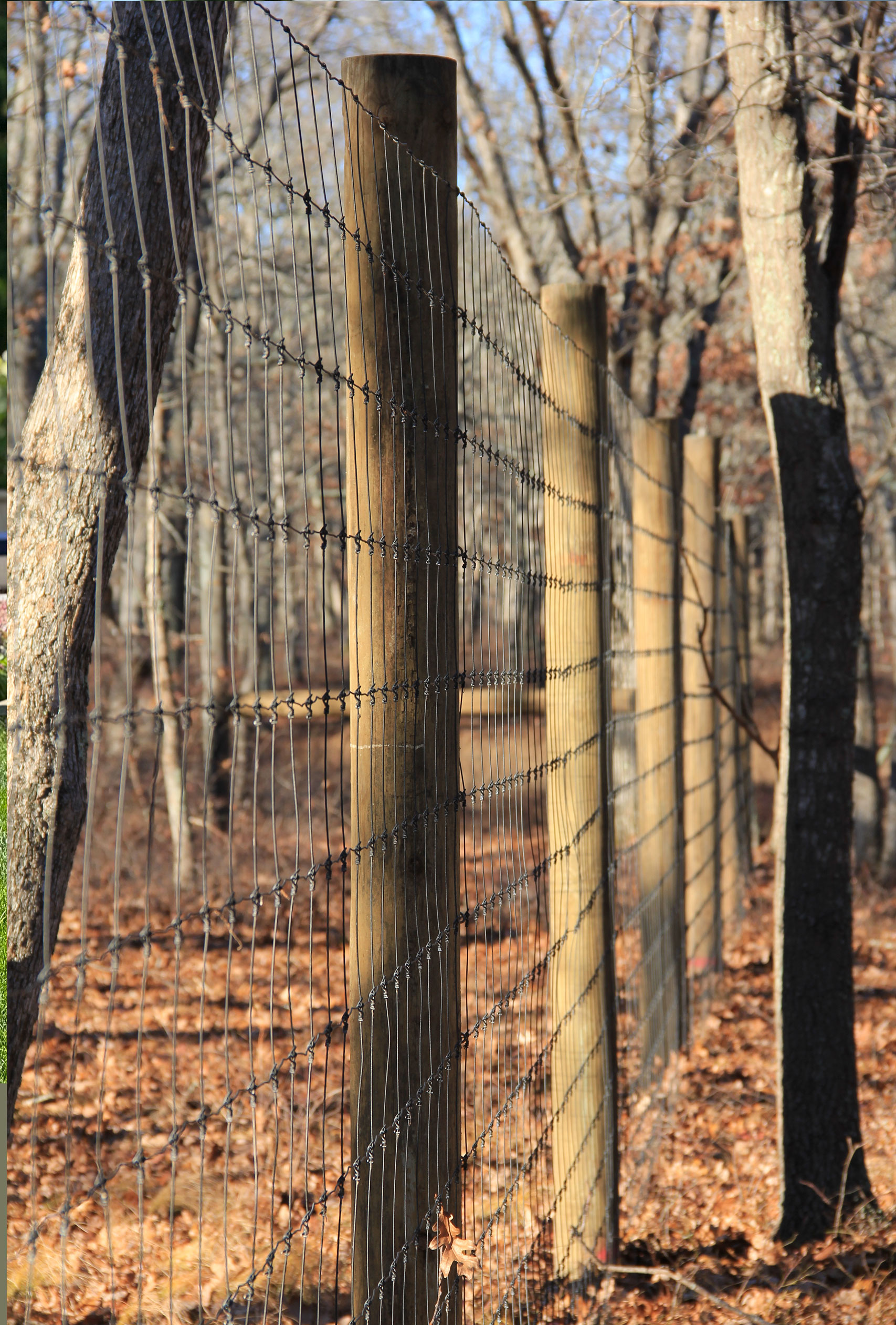 deerfencing3