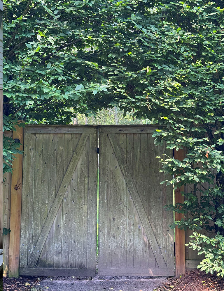 deerfencing6